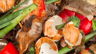 From Farm to Landfill: Why thirty percent of All Food Grown Is Never Eaten