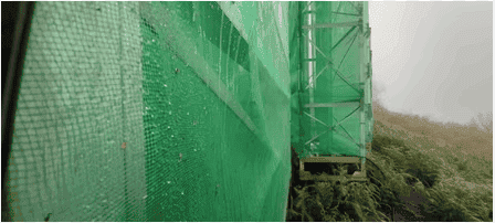 How Ancient 'Fog Harvesting' Techniques Are Reviving Arid Landscapes