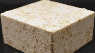 Mycelium Packaging: How Mushrooms Are Replacing Styrofoam