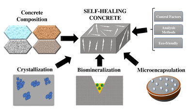 Self-Healing Concrete: How Bacteria Could Make Infrastructure Last Longer