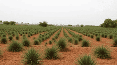 The Great Green Wall Progress Report: Is Africa's Desert Barrier Working?